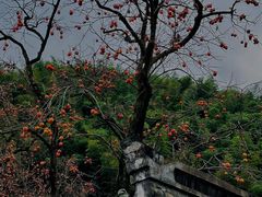 -丹山赤水风景名胜区