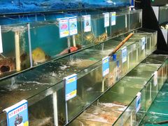 水产区-琼大师东方烤乳猪(亚特兰蒂斯店)