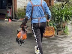 -青城甲(青城山店)