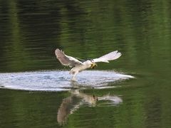 -重庆彩云湖湿地公园