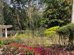 -中国科学院西双版纳热带植物园