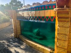 -上海玛雅海滩水公园