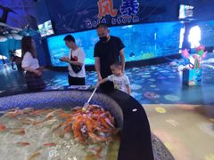 -烟台海昌鲸鲨海洋公园