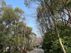 -长广溪湿地公园
