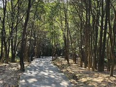 -火炉山森林公园