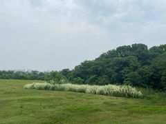 -盘龙城国家考古遗址公园