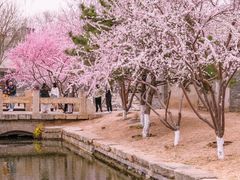 -三里河公园