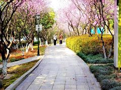 -月湖风景区
