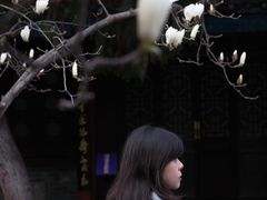 -万寿八仙宫
