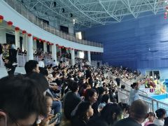 -临沂极地海洋王国
