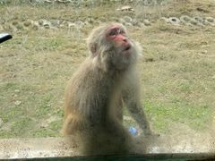 -武汉紫薇都市田园