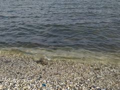 -天津东疆湾沙滩景区