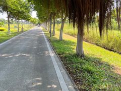 -广东花都湖国家湿地公园