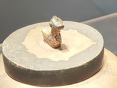 -信阳博物馆
