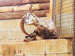-昆明动物园