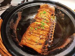 -姜君·千岛湖鱼头馆(浦东大道店)