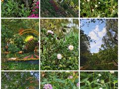 -共青国家森林公园-售票处