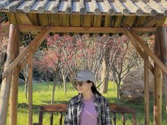 -广州市帽峰山景区