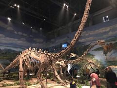 景点-自贡恐龙博物馆