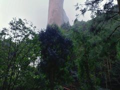 -雁荡山大龙湫景区