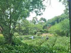 -南京市江宁方山