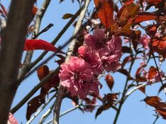 -昆山城市生态森林公园