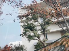 -乌镇东栅景区