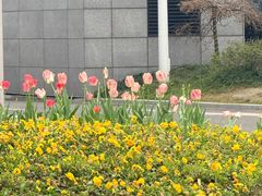 -杭州萧山国际机场