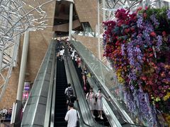 -80M 巴士专门店