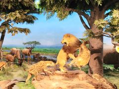 -国家自然博物馆