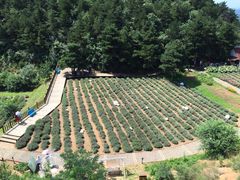-云峰山自然风景区