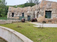 -哈尔滨北方森林动物园