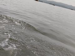-西湖游船