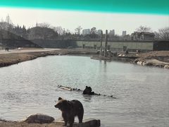 -上海野生动物园