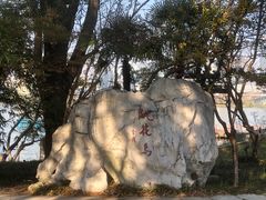 -金鸡湖桃花岛