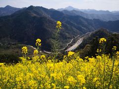 -石潭村