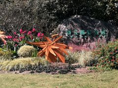 -碧云国际社区·晓园