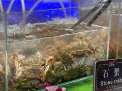 石头蟹-宴立方海鲜自助(义乌万达广场店)