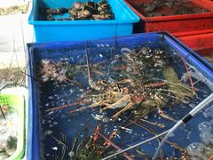 -拉威海鲜市场