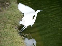 android_upload_pic-白鹭洲公园