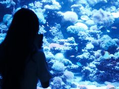 -太平洋海底世界