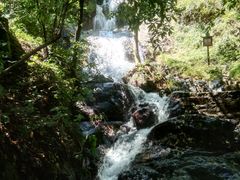 -羚羊峡古栈道森林公园