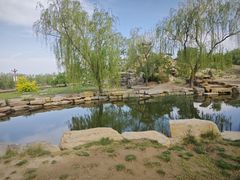 -赵州桥景区