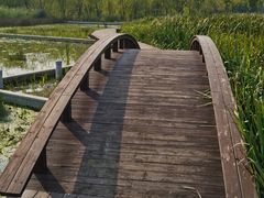 -永定河休闲森林公园