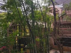 -香港大学