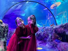 -沈阳海洋探索中心