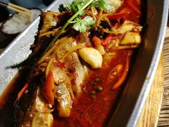 -听香·678茶铺(猛追湾店)