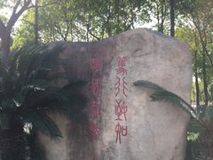 -华东政法大学(松江校区)