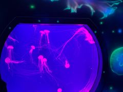 -沈阳海洋探索中心