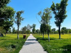 -汉长安城未央宫国家考古遗址公园